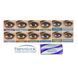 Alcon Fresh Look Colorblends (уп-2 шт) | Цветные контактные линзы 9912 фото 3